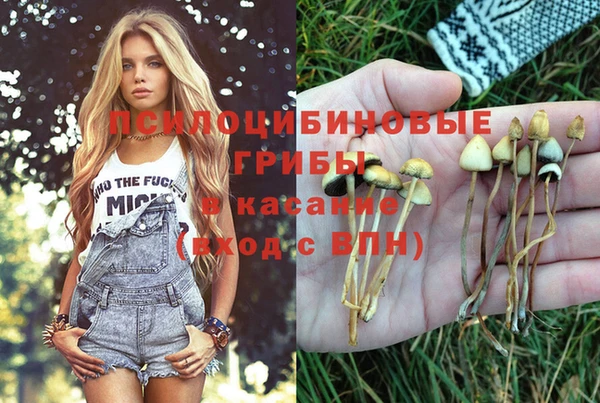 ешки Баксан