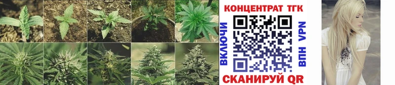 Дистиллят ТГК Wax  МЕГА ONION  Высоковск  купить  